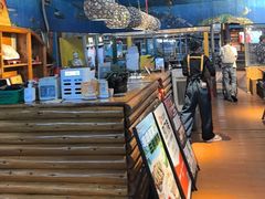 -蓝湾碧波·老字号·疍家非遗海上餐厅