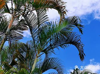 这家温泉酒店也不错，有室外泳池