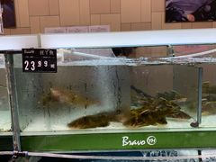 -永辉超市(大西洋银泰城店)
