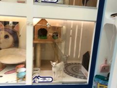 -拜鲁耶动物诊疗中心·宠家动物医院