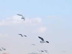 -滇池海埂公园