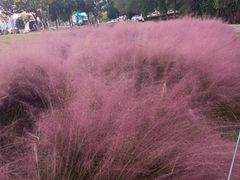 -钟山体育运动公园