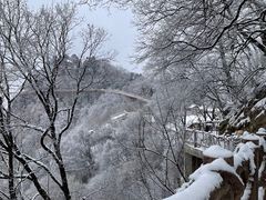 -少华山国家森林公园