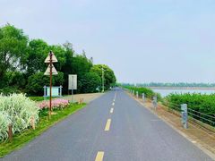 -贡湖湾湿地公园