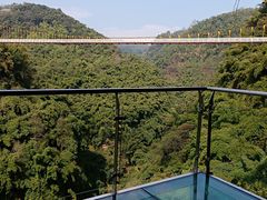 -川西竹海景区