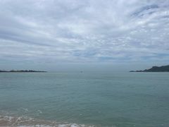 -涉地可支