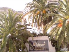 -上海棕榈滩海景酒店