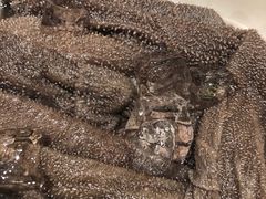 -海底捞火锅(群光广场店)