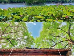 -恭王府博物馆