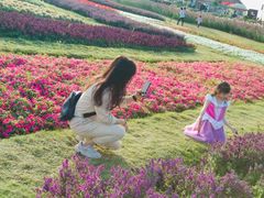 -花博汇(知音花月夜)