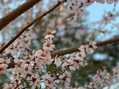 -长春公园(普阳街道)