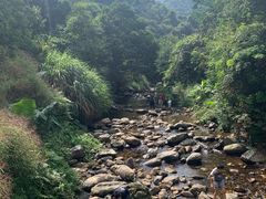 -梧桐山风景名胜区