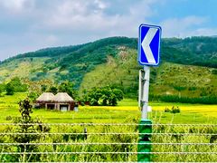 -御道口草原森林风景区