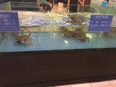 -都市阳光海鲜城(青山湖店)