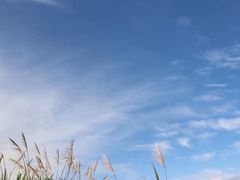 -东极岛景区