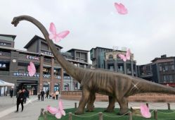 -恐龙探索乐园(磁器口店)