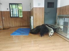 -无锡动物园·太湖欢乐园