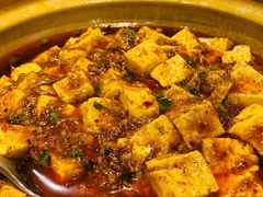 老成都麻婆豆腐-金熊猫川菜餐厅