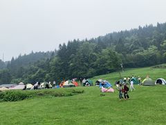 -武陵山森林公园