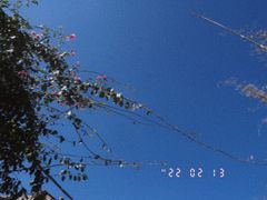 -大理床单厂艺术区
