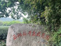 -中国茶叶博物馆(双峰馆区)