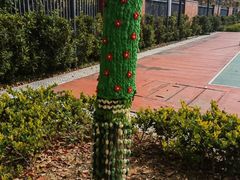 -郑州方特梦幻王国