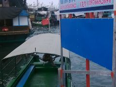 android_upload_pic-蓝湾碧波·老字号·疍家非遗海上餐厅