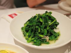 酒香豆苗-老吉士(环贸iapm店)