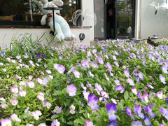 -新虹桥中心花园