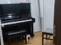 -中音阶梯艺术教育(音乐学院校区)