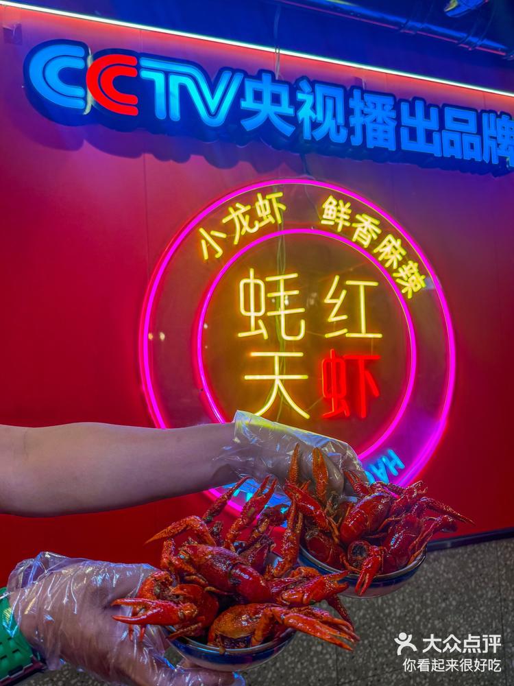 cctv7小龙虾养殖视频(小龙虾养殖技术大全视频教程)