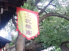 -观桥阁(锦溪店)