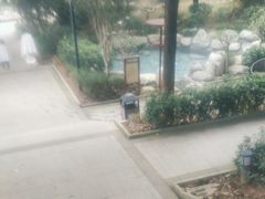 -英德宝晶宫天鹅湖茶语温泉