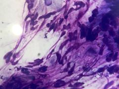 -佳雯宠物医院(四明中路分院)