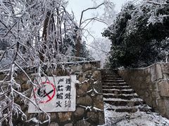 -灵谷景区