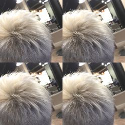 Grico 作品-茶发Salon·烫发染发理发