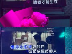 -好乐迪(张扬路八佰伴店)