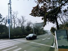 -八大关景区