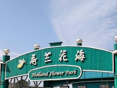 -荷兰花海
