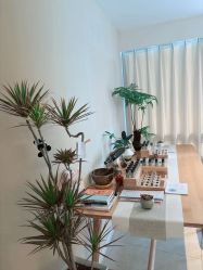 -东英经典SKIN&SPA