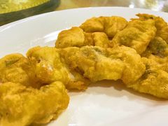 豆腐鱼-长平肥姐白粥·海鲜打冷