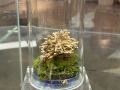 -广州神农草堂中医药博物馆