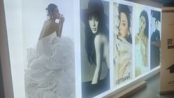 -左岸摄影写真(天津旗舰店)