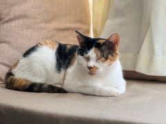 -转山咖啡(松柏社区店)