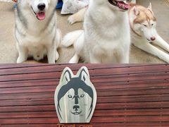 -TrueLove @ Neverland (Husky Cafe)