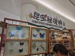 -武汉荟聚