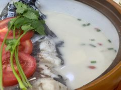 -全乐鱼馆·淳牌有机鱼直营店