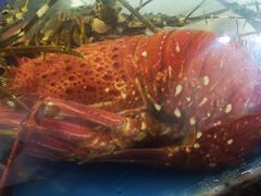 -海棠湾聚鼎香海鲜坊(海昌梦幻不夜城店)