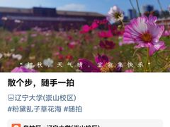 -辽宁大学(崇山校区)