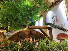 -大理董·董家小厨野生菌火锅(古城旗舰店)